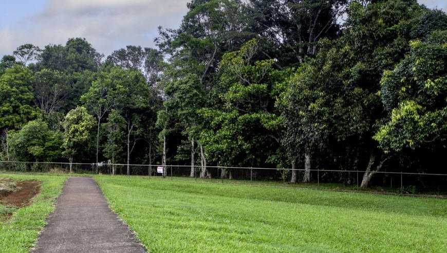 Atherton Arboretum , Australia